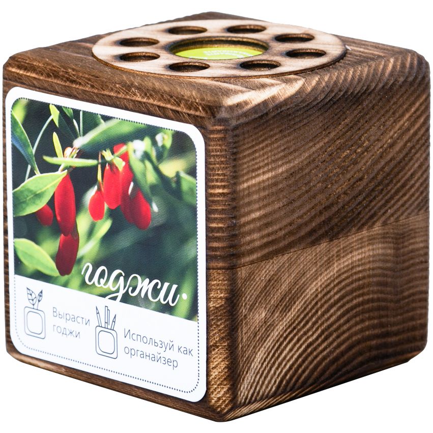 годжи