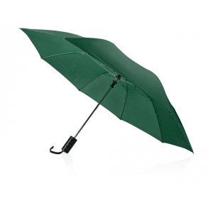 Зонт складной Андрия, зеленый