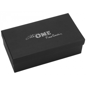 Ручка перьевая The One. Pierre Cardin