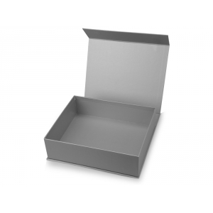 Подарочная коробка Giftbox средняя, серебристый