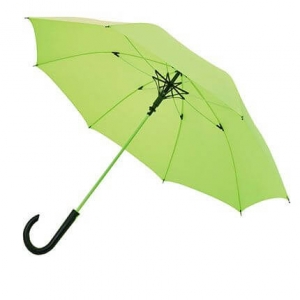 Зонт автоматический 23 (зеленый неон)