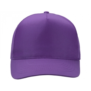 Бейсболка Poly 5-ти панельная, фиолетовый