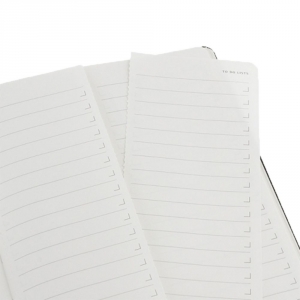 Записная книжка Moleskine Professional Large, черная