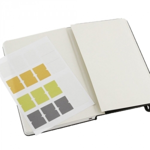 Записная книжка Moleskine Professional Large, черная