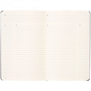Записная книжка Moleskine Professional Large, черная