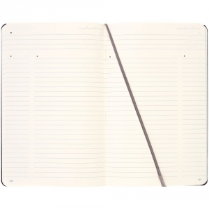 Записная книжка Moleskine Professional Large, черная