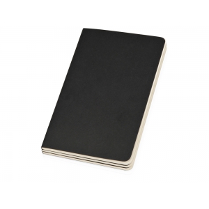 Записная книжка Moleskine Cahier (нелинованный, 3 шт.), Large (13х21см), черный