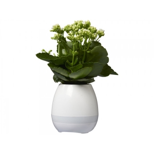 Динамик Green Thumb Flower Pot с Bluetooth®