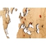 Деревянная карта мира World Map Wall Decoration Exclusive, дуб