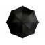 Зонт-трость Lisa полуавтомат 23, черный (Р)